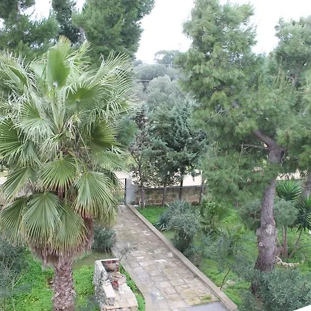 Sarparea 산티시도로